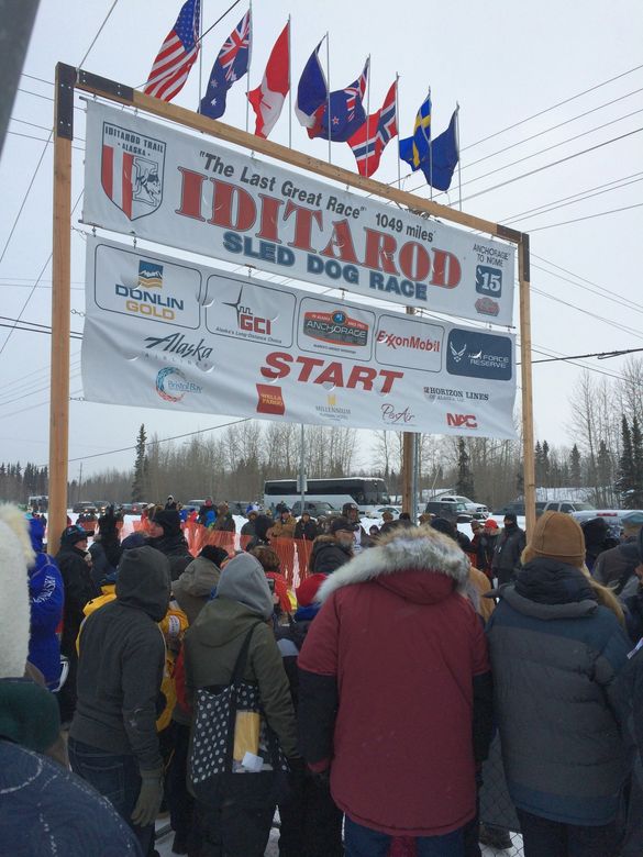 Start of the 2015 Iditarod in Fairbanks, Alaska