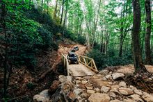 Sevier_PigeonForge_Wildside 