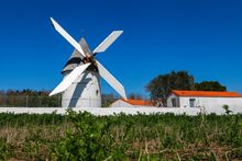 Le Moulin de la Brée.
