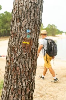 Chemin d'Oléron - Randonnée Gatseau