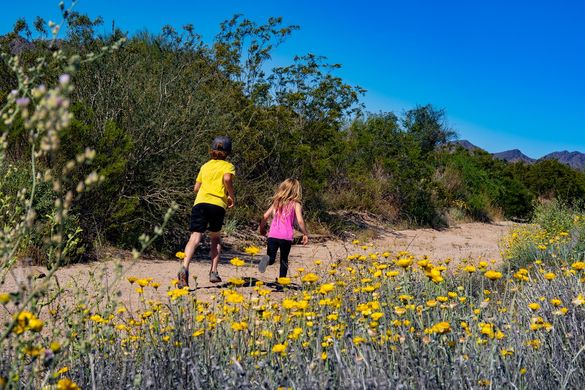 Spring has sprung in Gilbert, Arizona