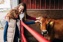 Petting Cows 2 (credit VisitBGKY)