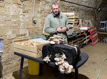 Anthony Couturier, cultivateur de champignons à la Citadelle du Château d'Oléron.