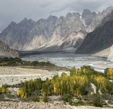 Passu