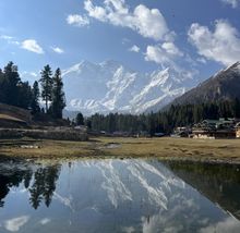 Fairy Meadows