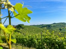 A taste of Piedmont - Eurohike Hiking Holidays