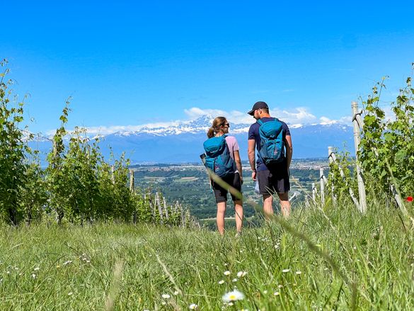Genusswandern im Piemont - Eurohike Wanderreisen