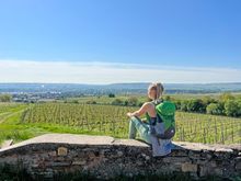 Rheinsteig, Mainz - Koblenz | Eurohike Wanderreisen