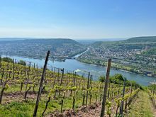 Rheinsteig, Mainz - Koblenz | Eurohike Wanderreisen