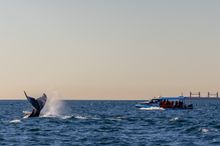 CoastXP, Lake Macquarie NSW