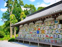 Matsuno o taisha sake