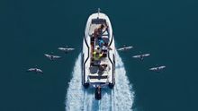 Fly Boat with wild geese