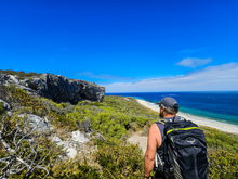 Down Under Discoveries