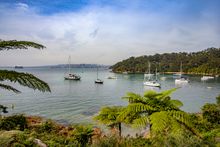 Bradleys Head to Chowder Bay Walk, Mosman