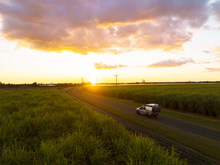 Sugar Cane Country Road Trip