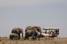 Game drive at Mahali Mzuri