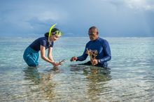 Naidiri Coral Planting Fiji, a Loloma Hour project 