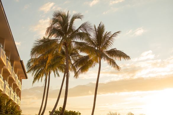 The Sundays, Hamilton Island's new boutique hotel. The Sundays, Hamilton Island's new boutique hotel.