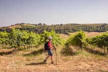 Hill Towns of Tuscany