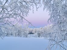 Winter sunset at Ruka Finland