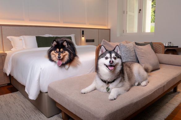 Amara Sanctuary Sentosa - Pampered Paws - Courtyard Suite Amara Sanctuary Sentosa - Pampered Paws - Courtyard Suite