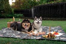 Amara Sanctuary Sentosa - Family Pupnic