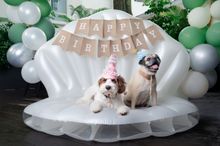Amara Sanctuary Sentosa - Pet Pawty