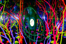 Meow Wolf Grapevine