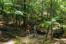 Gidjuum Gulganyi Walk, UnicornFalls WalkingTrack, Remy Brand