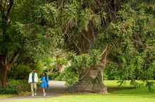 Southern Cultural Immersion, Adelaide / Tarntanya, South Australia