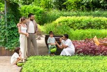 JW_Marriott_Maldives_Resort_&_Spa_JW_Garden_Kids