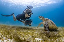 Le_Meridien_Maldives_Resort_&_Spa_Snorkeling_with_turtle