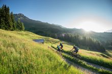 Two people mountain biking on a grassy trail.