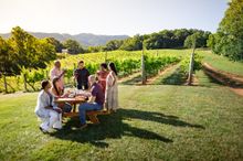 Addison Farms Vineyard in Leicester offers tours, tastings and charcuterie picnics -- overlooking the Blue Ridge Mountains.