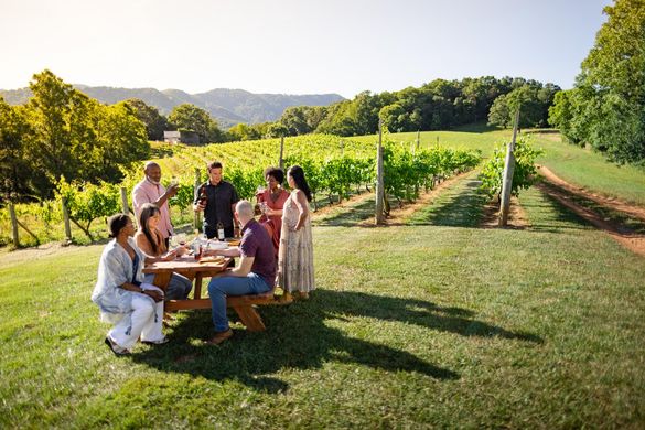 Addison Farms Vineyard in Leicester offers tours, tastings and charcuterie picnics -- overlooking the Blue Ridge Mountains. Addison Farms Vineyard in Leicester offers tours, tastings and charcuterie picnics -- overlooking the Blue Ridge Mountains.