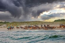 Chincoteague Pony Swim