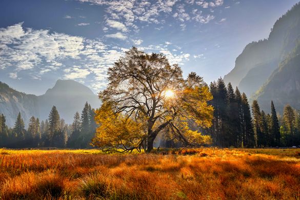 Yosemite in Autumn Yosemite in Autumn
