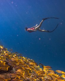 The Westin Maldives Miriandhoo Resort - House Reef Snorkeling 