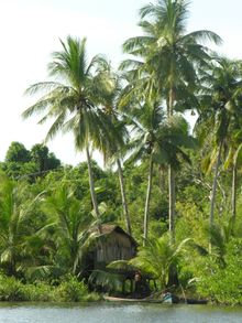 Ream National Park, Sihanoukville, Cambodia