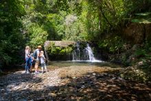 Brook Waimarama Sanctuary Waterfall