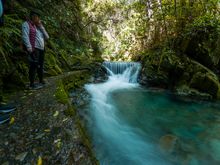 Brook Waimarama Sanctuary Waterfall