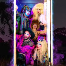 The stars of cabaret, Party Favours.