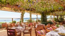 Jardin Tropezina