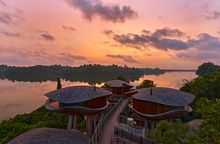Banyan Tree Mandai Rainforest Resort, Singapore