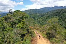 Travellers on e-bikes ride dirt path winding through a lush, green forest in Costa Rica