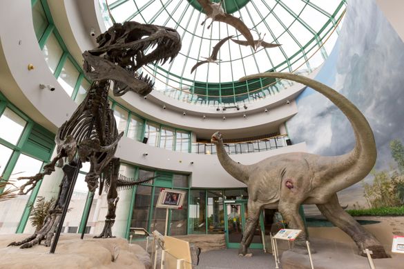 North Carolina Museum of Natural Sciences North Carolina Museum of Natural Sciences