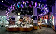 North Carolina Museum of Natural Sciences