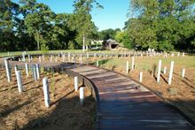 Mulberry Street Cemetery - LaGrange, Ga
