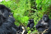 Rwanda