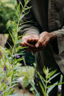 Regenerative Hospitality